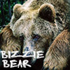 Bizzie Bear